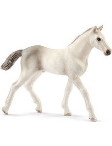 Schleich 13860 - Holsteiner  veulen