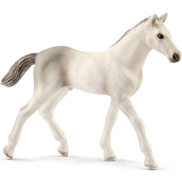 Schleich 13860 - Holsteiner  veulen