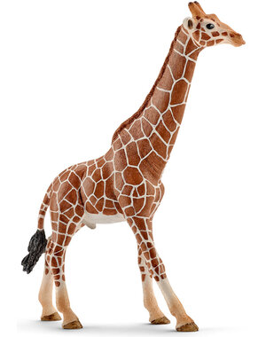 Schleich 14749 - Giraffe, mannetje