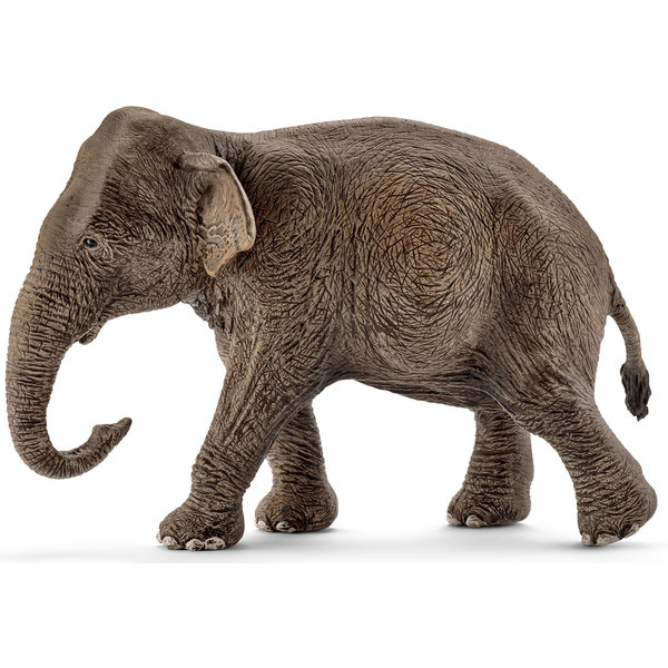 Schleich 14753 - Aziatische olifant, vrouwtje