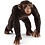 Schleich 14817 - Chimpansee