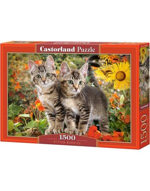 Castorland Kitten Buddies - 1500 stukjes