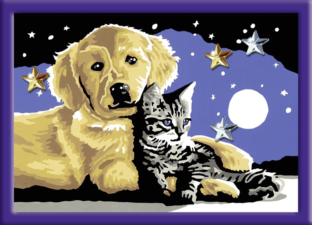 pellet Welke dinsdag Ravensburger Schilderen op nummer - Hond en kat - Kidstoys