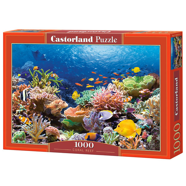 Castorland Coral Reef fishes