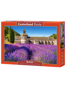 Castorland Lavender Field in Provence, France