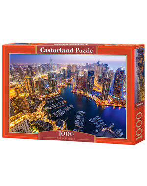 Castorland Dubai At Night