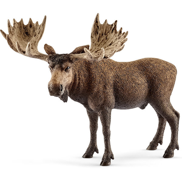 Schleich 14781 - Eland stier