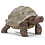 Schleich 14601 - Reuze schildpad