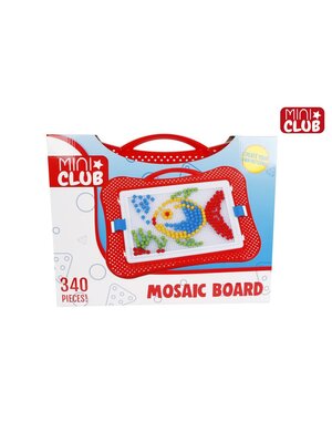  Mozaïek bord met 340 pins