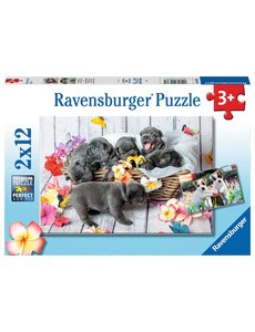 Ravensburger Schattige haarbolletje, 2x12