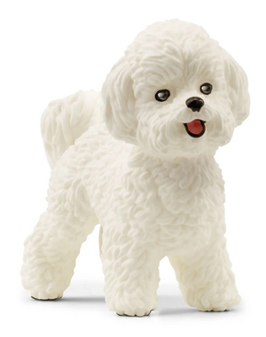 Schleich 13963 - Bichon Frise