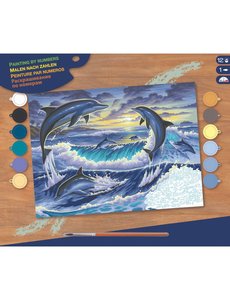  Schilderen op nummer - Dolfijnen