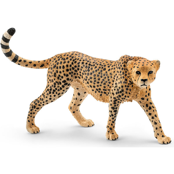 Schleich 14746 - Luipaard Cheeta, vrouwtje