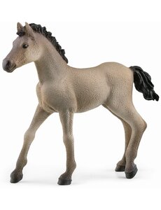 Schleich 13949 - Criollo Definitivo veulen