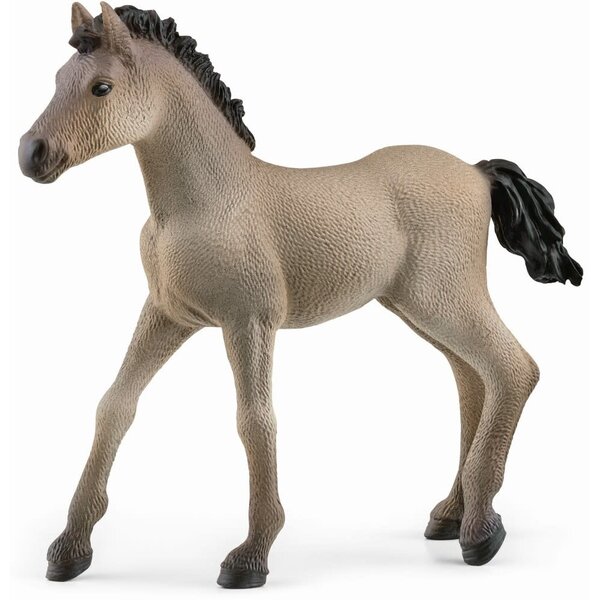 Schleich 13949 - Criollo Definitivo veulen