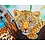 Diamond Dotz Diamond Painting - Leopard look