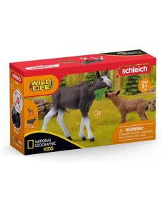 Schleich 42603 - Eland met kalf