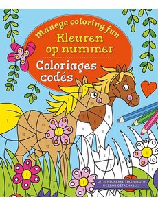 Deltas Manege Coloring Fun - Kleuren op nummer