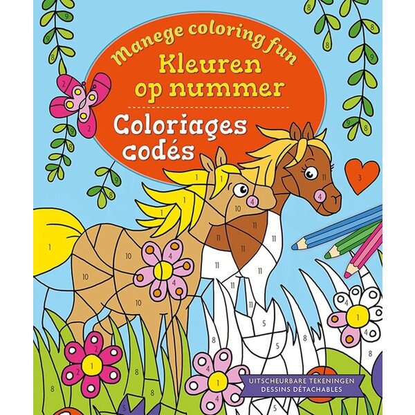 Deltas Manege Coloring Fun - Kleuren op nummer