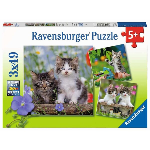 Ravensburger Jonge katjes - 3x49 stukjes