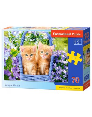 Castorland Rode Kittens in mandje - 70 stukjes