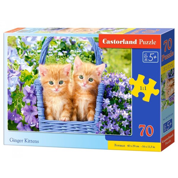 Castorland Rode Kittens in mandje - 70 stukjes
