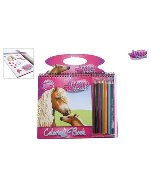 Horse Friends kleurboek, 12 potloden, sjablonen en stickers