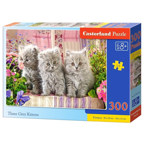Castorland Drie grijze kittens - 300 stukjes