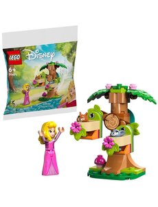 LEGO 30671 - Disney's princess Aurora's speeltuin