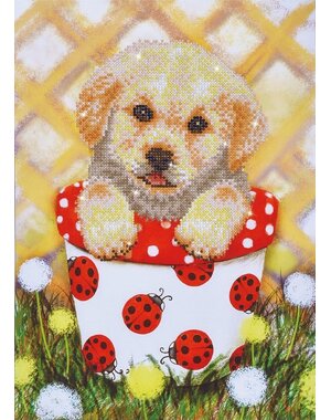  Diamond Painting Pup in een Pot 30x42 cm