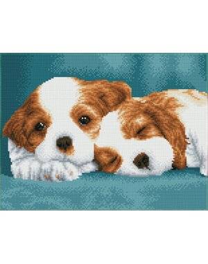  Diamond Painting Little Champs 31x41 cm
