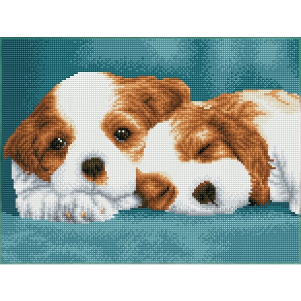 Diamond Painting Little Champs 31x41 cm