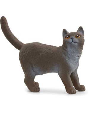 Schleich 13973 - Britse korthaar