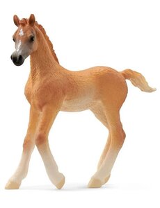 Schleich 13984 - Arabisch veulen