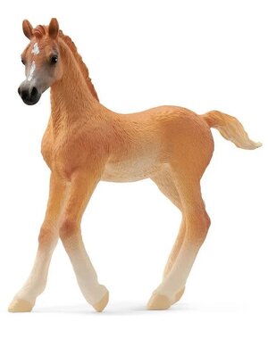 Schleich 13984 - Arabisch veulen