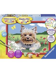 Ravensburger Schilderen op nummer - Kleine Yorkshire terrier