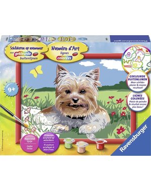 Ravensburger Schilderen op nummer - Kleine Yorkshire terrier