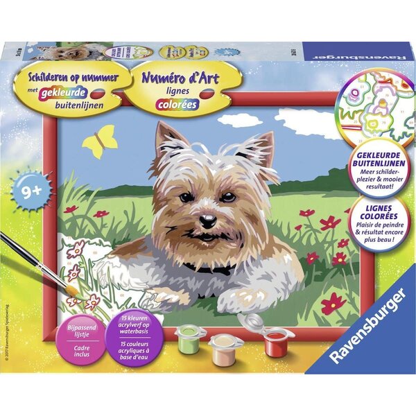 Ravensburger Schilderen op nummer - Kleine Yorkshire terrier