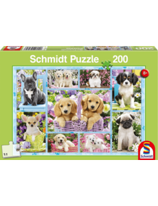 Schmidt Puppies - 200 stukjes