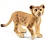 Schleich 14813 - Leeuwen welpje