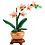 LEGO 10343 - Botanicals Mini orchidee
