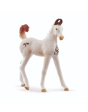 Schleich 14896 - Marwari veulen