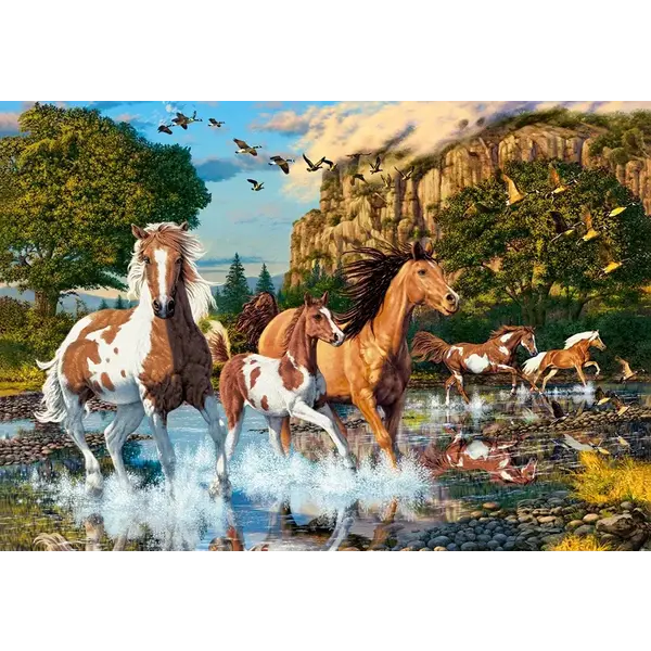 Castorland Horse Wonderland