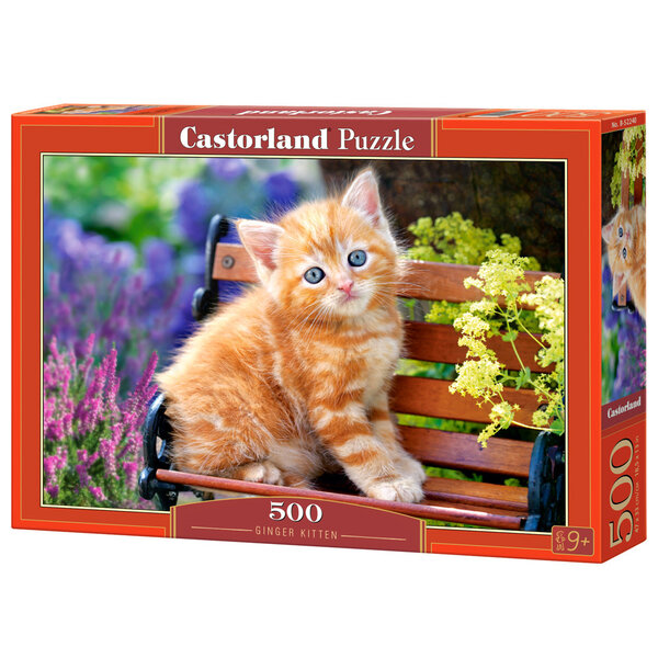 Castorland Ginger kitten 500 stukjes