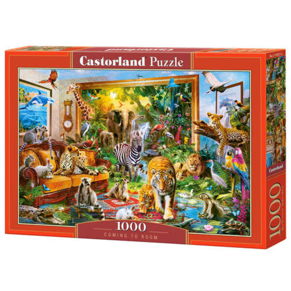 Castorland Coming to room