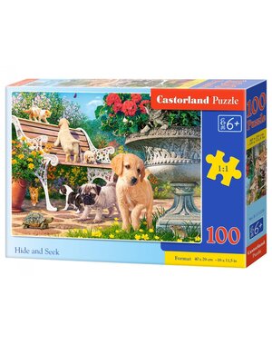 Castorland Hide and Seek - 100 stukjes
