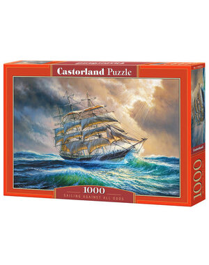 Castorland Sailing against all odds