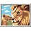 Ravensburger Schilderen op nummer - Leeuw met welp