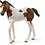Schleich 14899 - Paint horse veulen