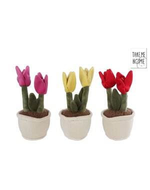 Take me Home Knuffelplantje tulp - 27 cm